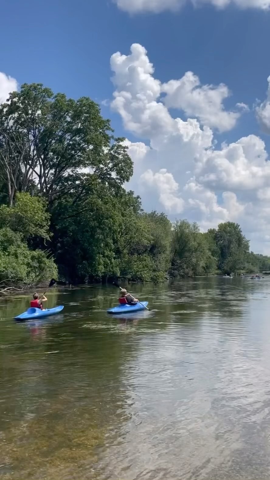 Kayak in the DuPage River in Naperville! Book with us at www.napervillekayak.com 😍🛶 @downtown_naperville