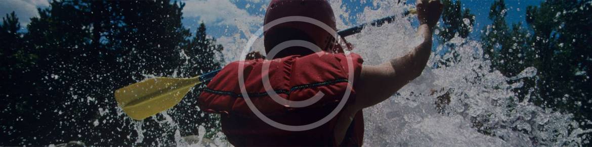 background-5.jpg