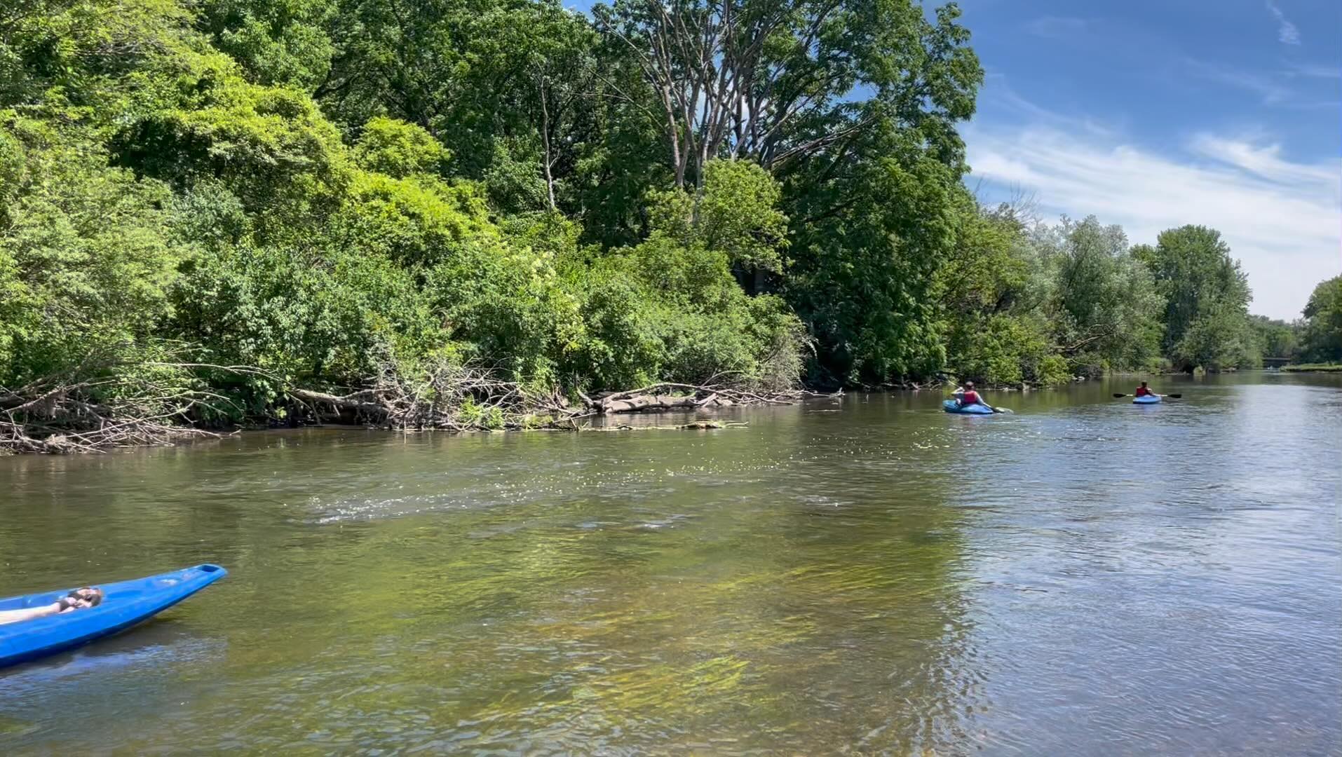 Nothing quite like the DuPage River in Naperville. Come kayak with us this weekend! Book now at www.napervillekayak.com.
